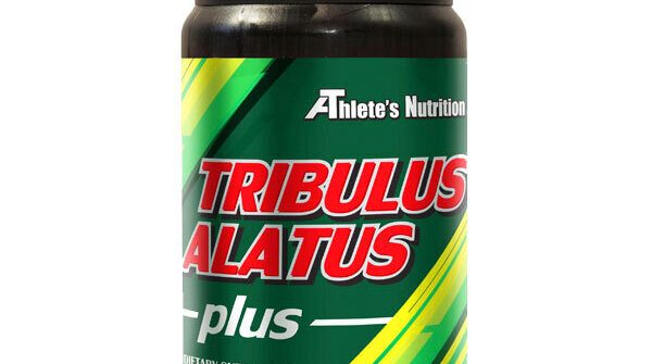 TRIBULUS20ALATUS.jpg